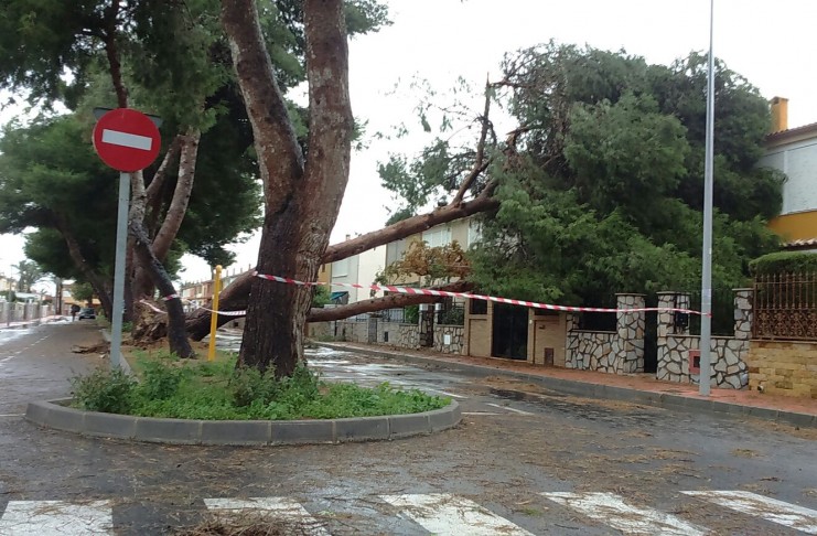 El temporal causa destrozos materiales en Torrevieja