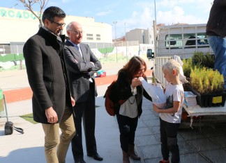Los alumnos de Torrevieja cuidarán de un pino durante un año