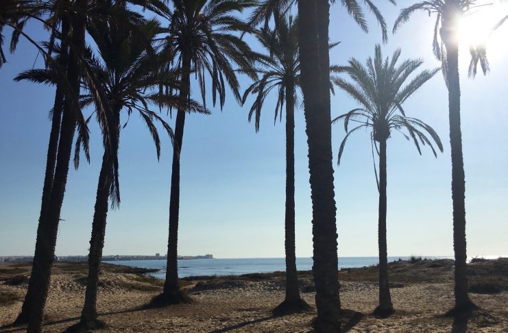 “Salvemos Lo Ferris” pide al Ayuntamiento que anule la licencia de obra del “muro de la vergüenza»