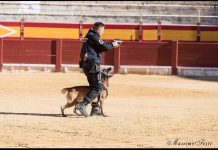 El IVASPE selecciona a dos miembros del GRO para formarse como guías caninos