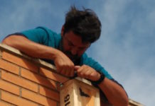 El programa de conservación de murciélagos de Torrevieja sigue ampliándose y obteniendo resultados positivos