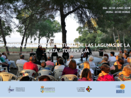 concierto en el parque