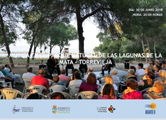 concierto en el parque