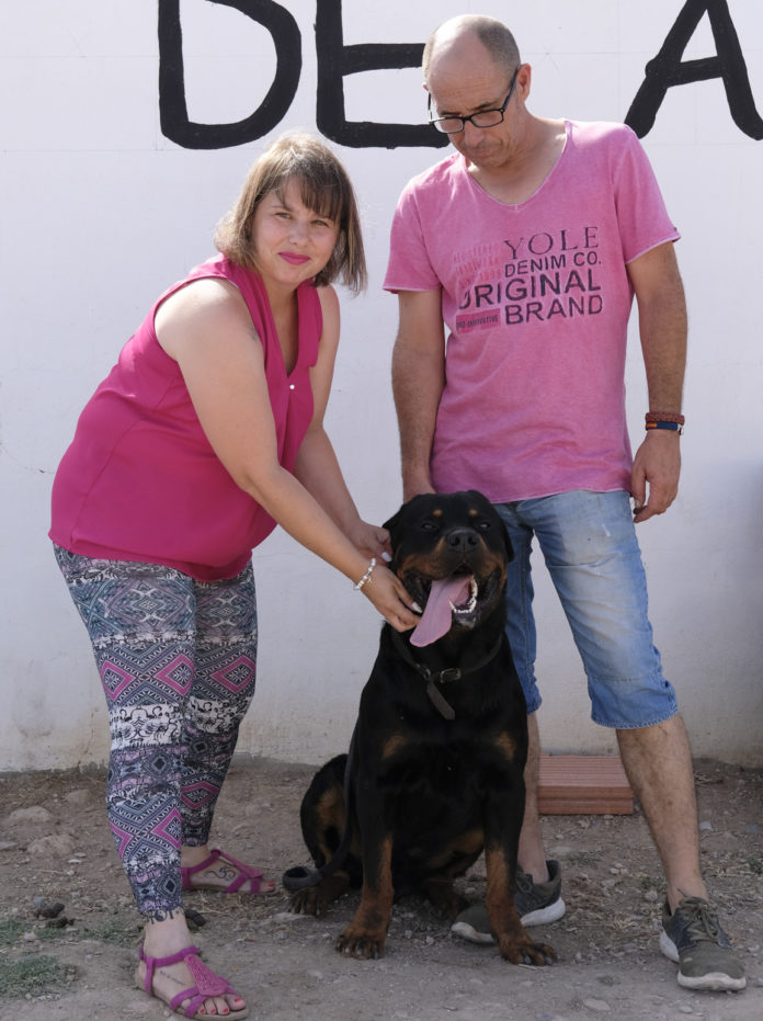 protección víctima violencia