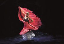 Las ‘Sombras’ de Sara Baras llegan al Auditorio de Torrevieja