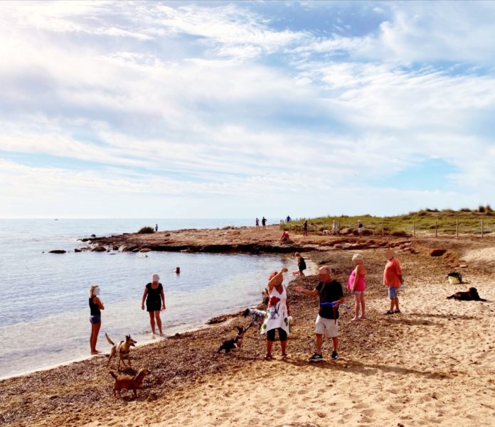 cala ferrís playa perros torrevieja